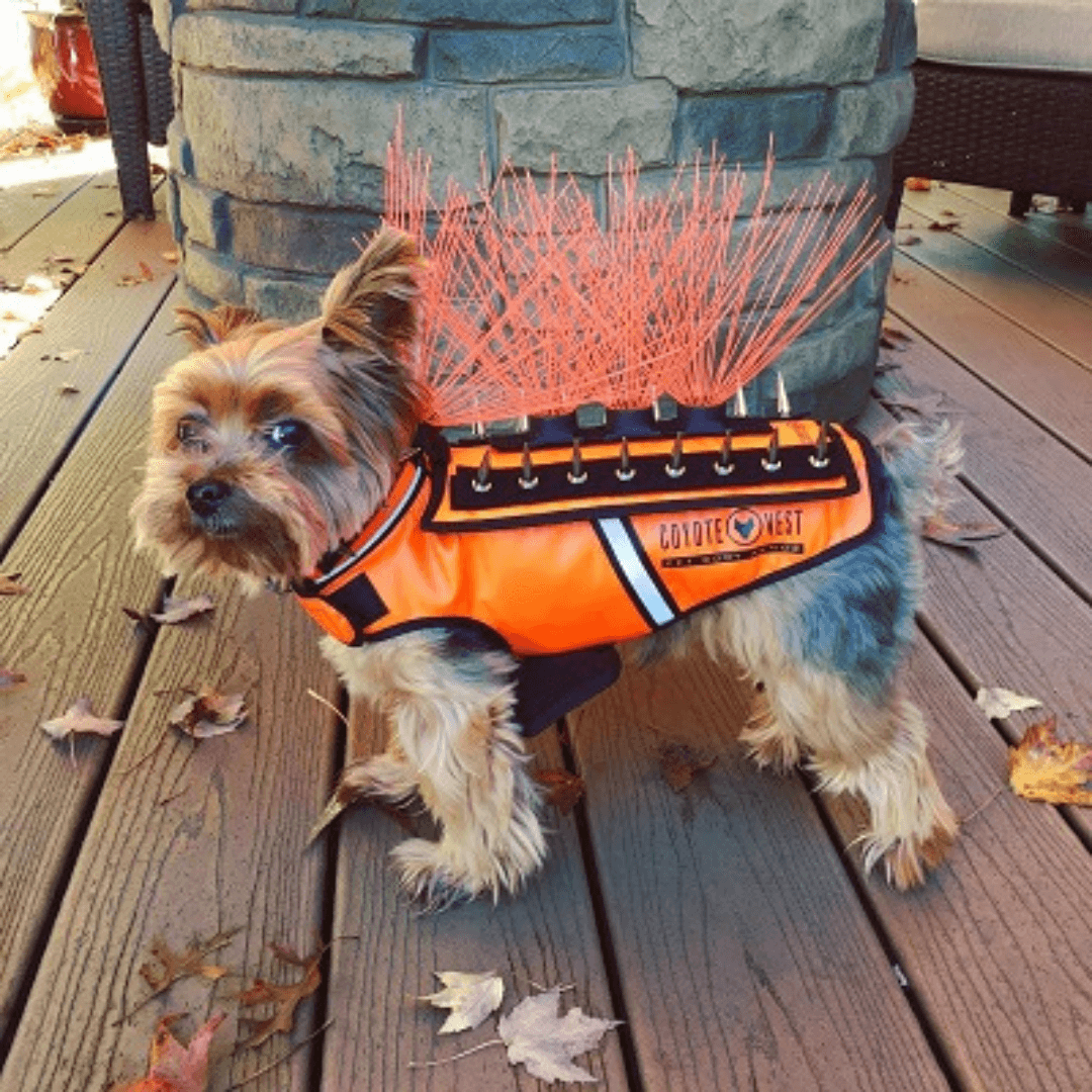 CoyoteVest