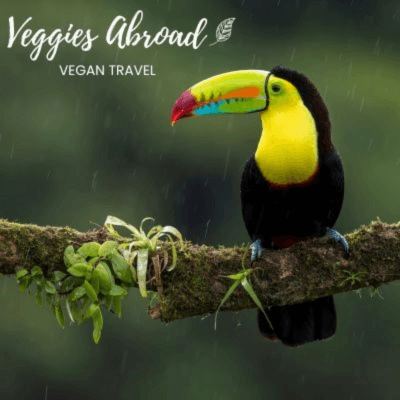 Veggies Abroad